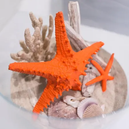 Wavia - Adults Only Las Palmas de Gran Canaria