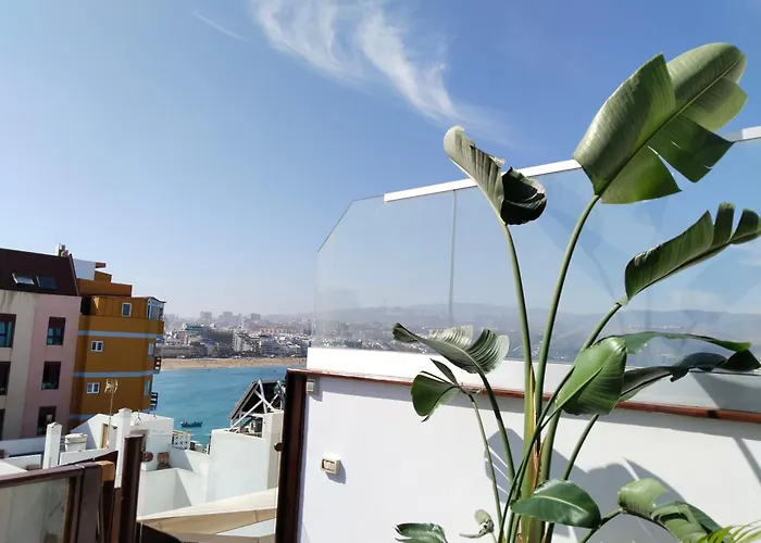 Wavia - Adults Only 3*